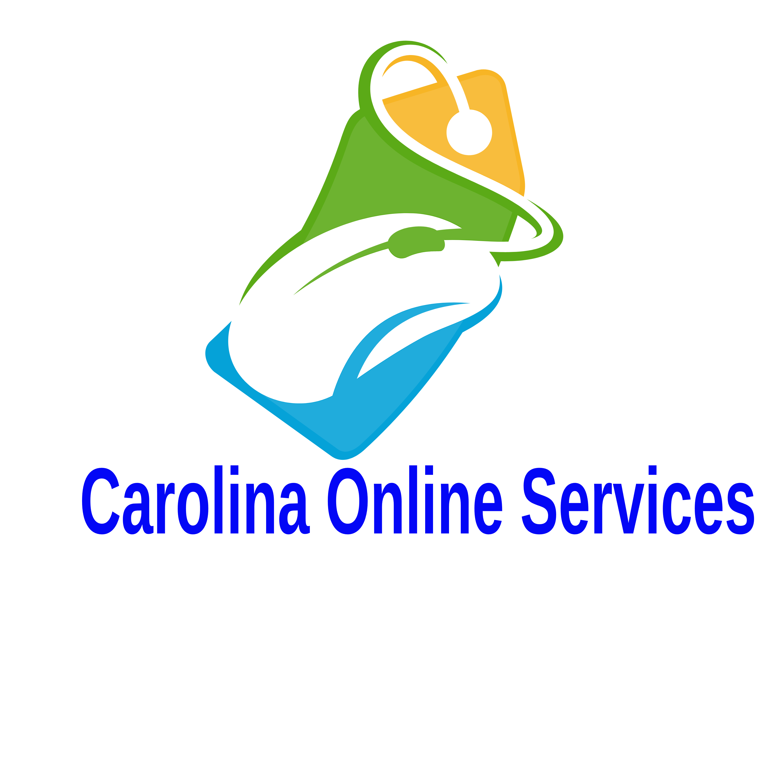 carolinaonlineservices.com